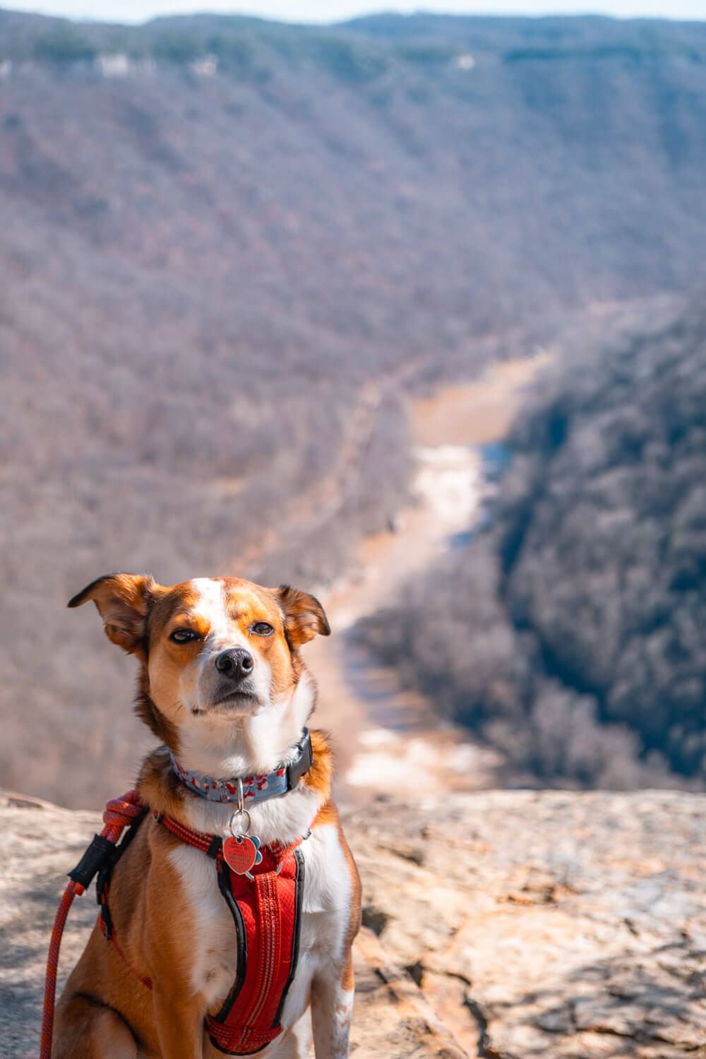 endless wall trail