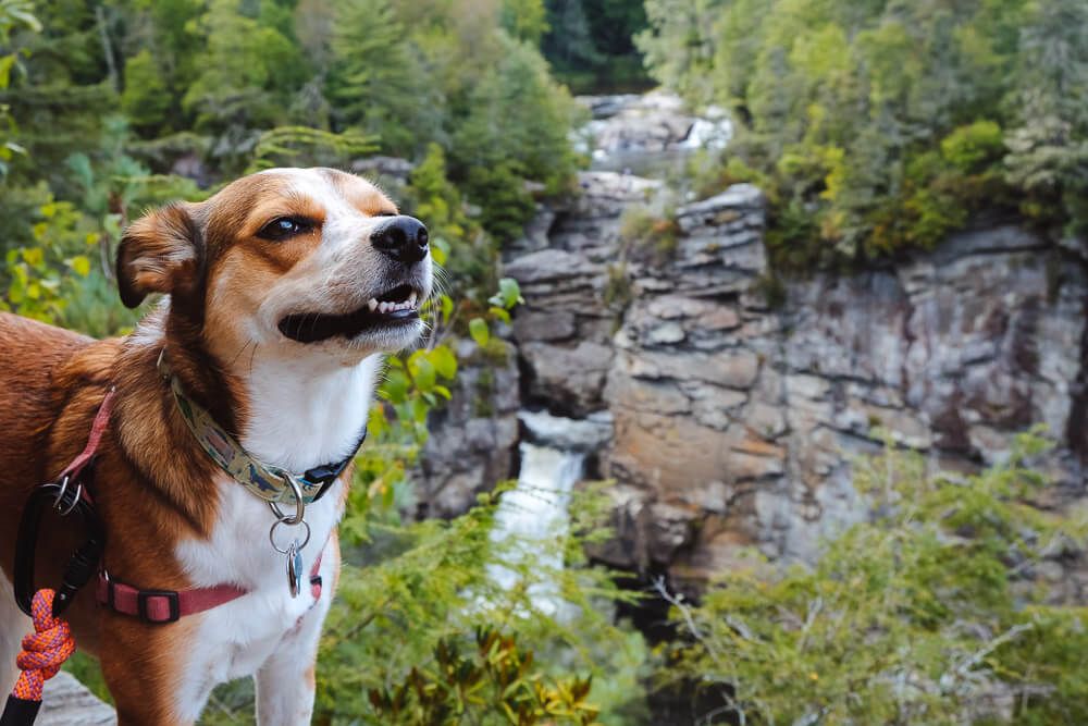 linville falls hiking