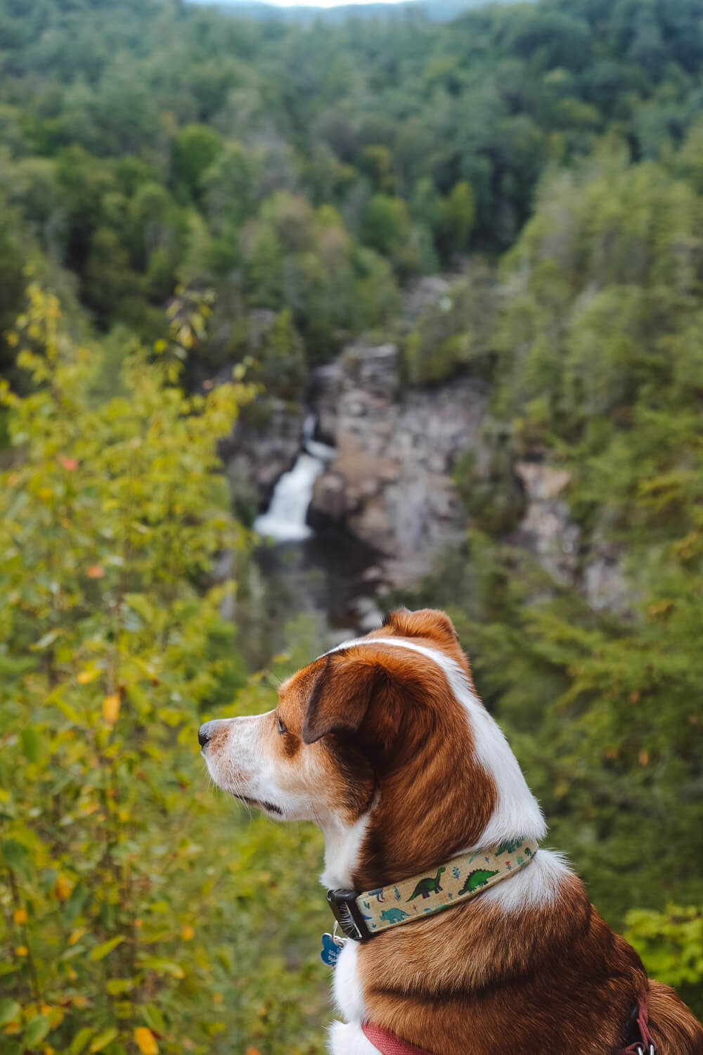 erwins view overlook at linville falls