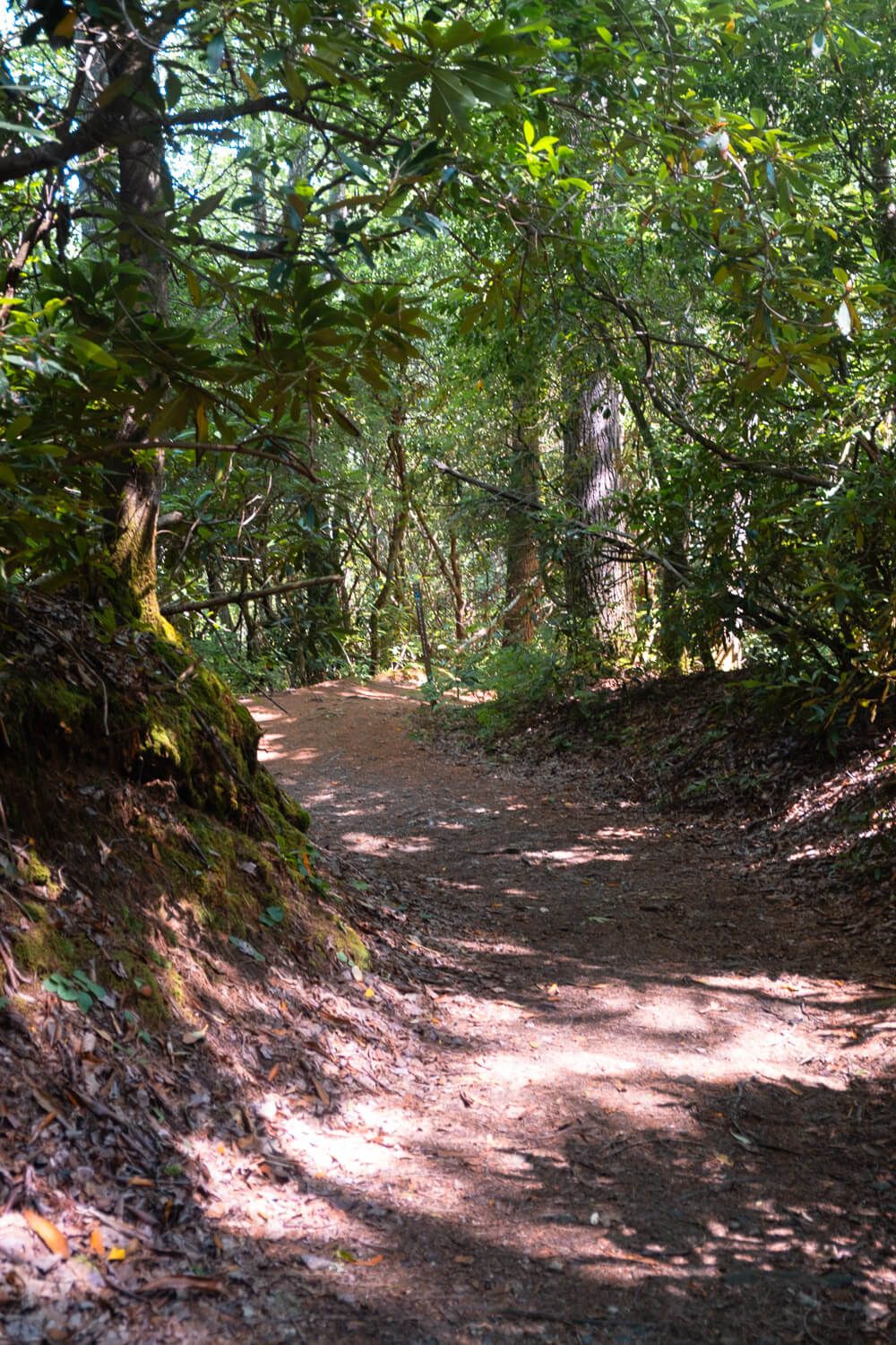 ranger falls trail