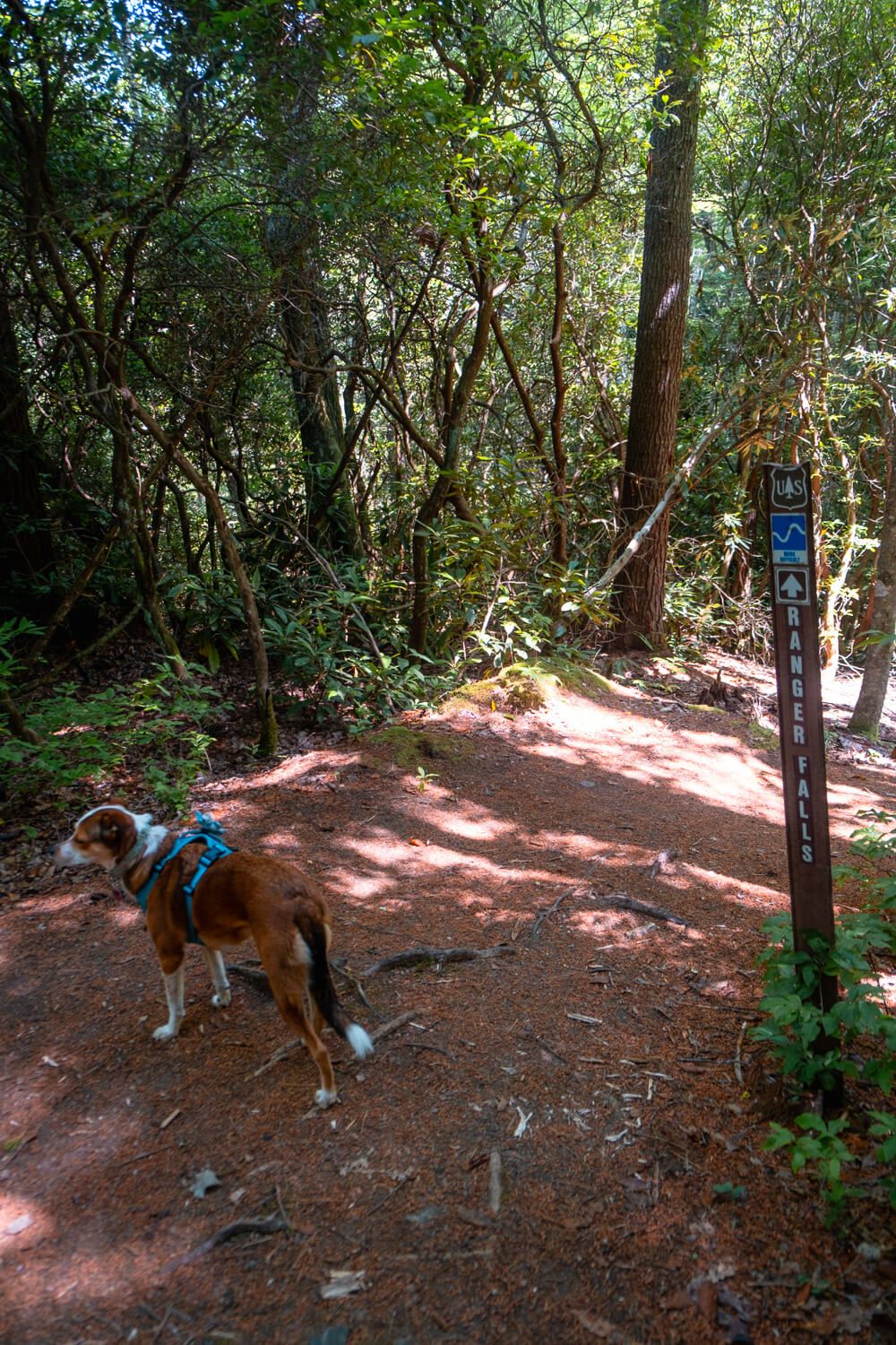 ranger falls trail