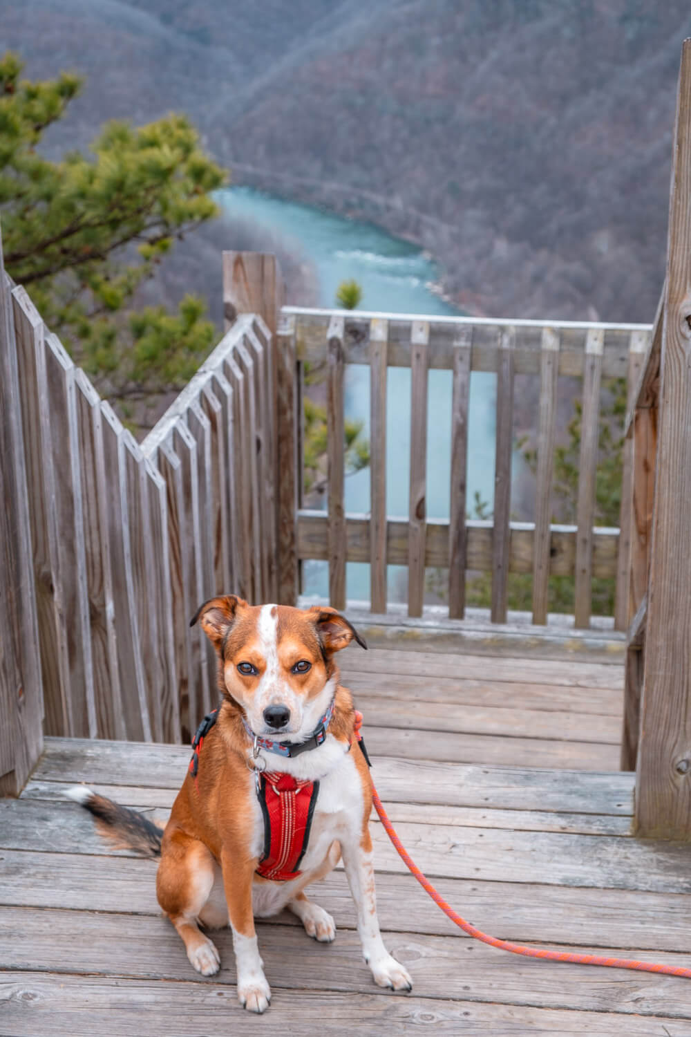 turkey spur at new river gorge national park