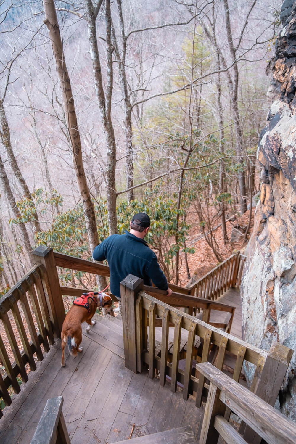 turkey spur at new river gorge national park