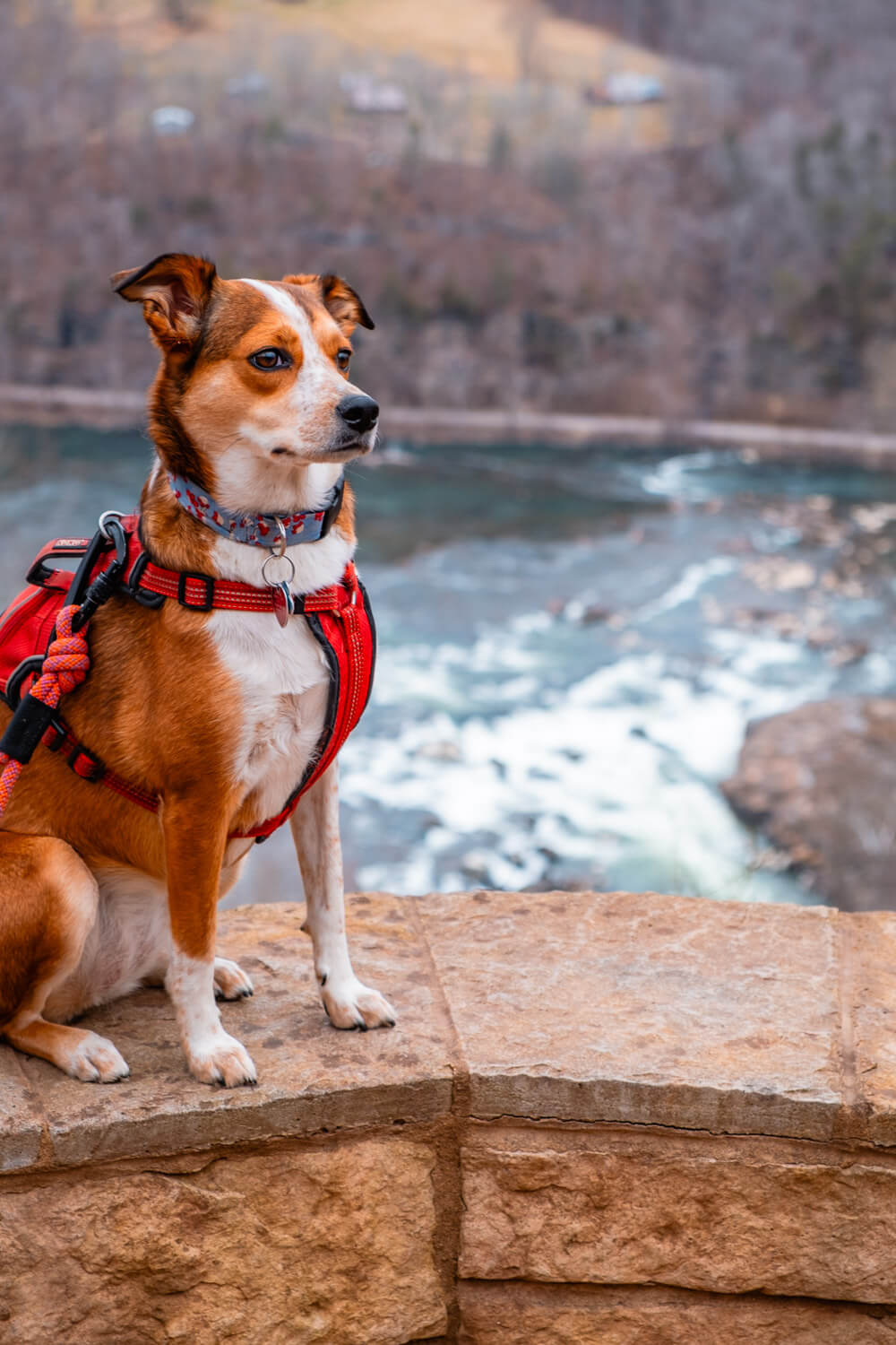 sandstone falls overlook