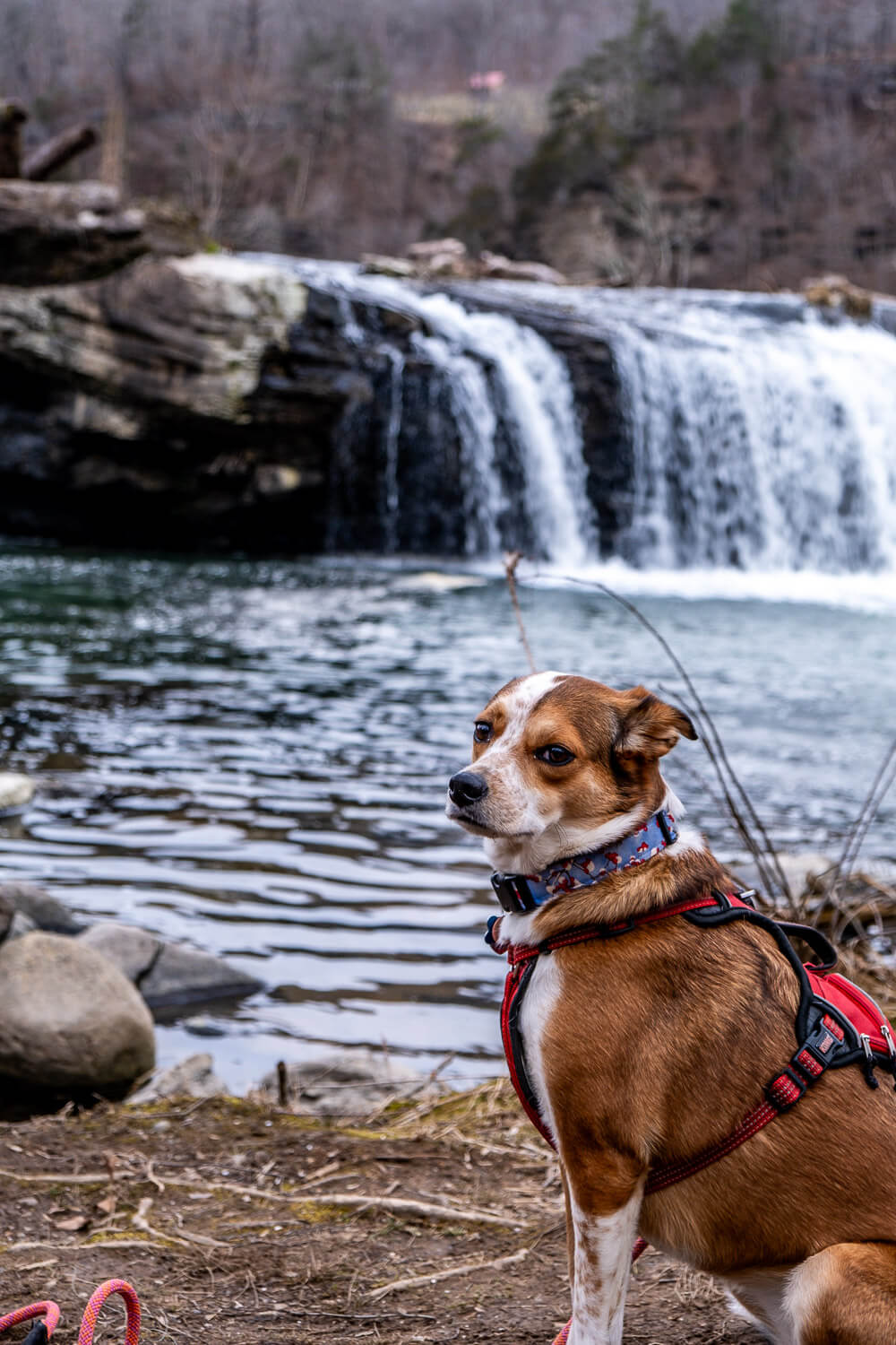 new river gorge national park