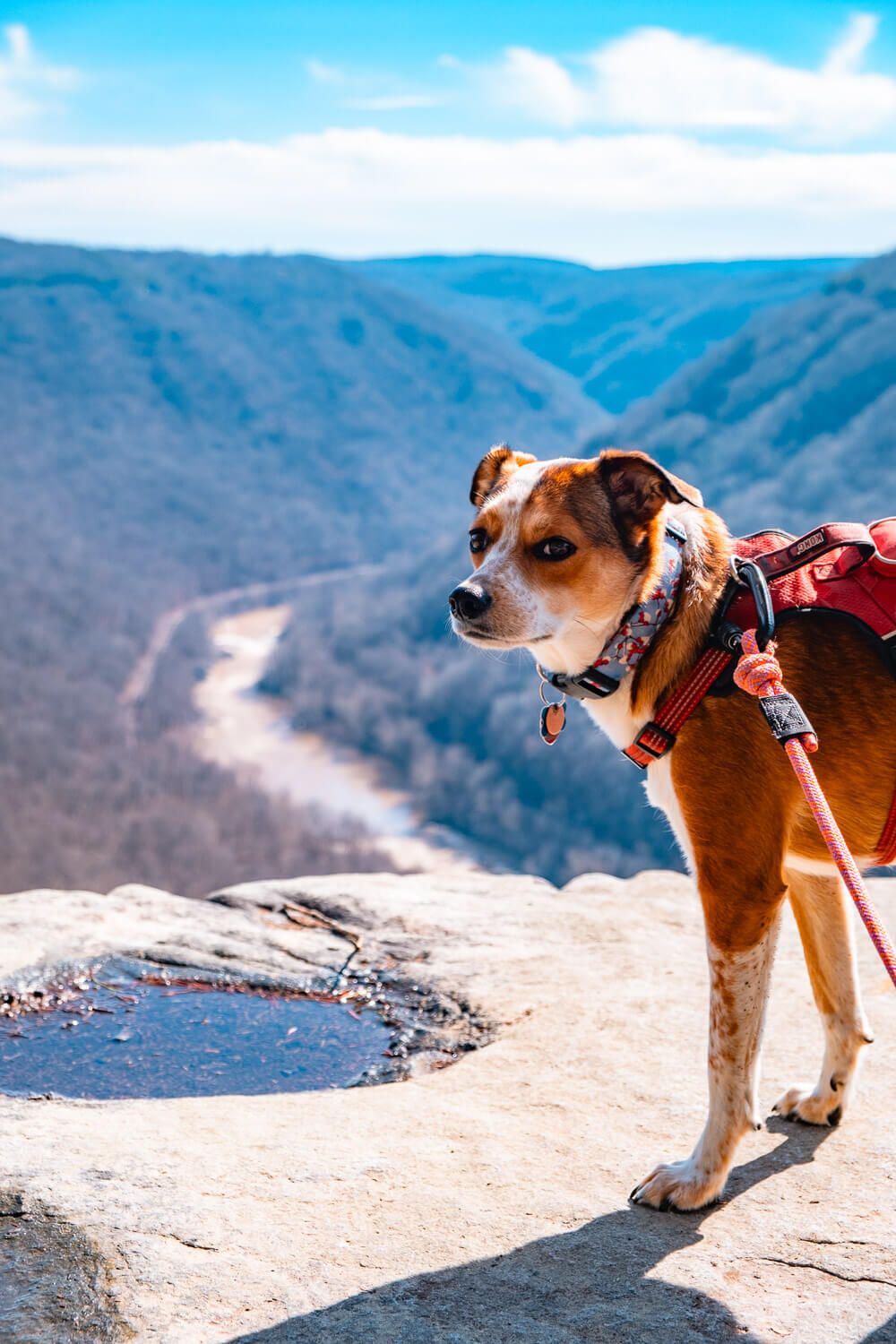 things to do in new river gorge national park