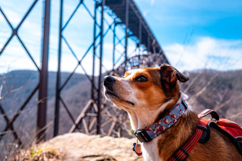 fayette station road - new river gorge national park