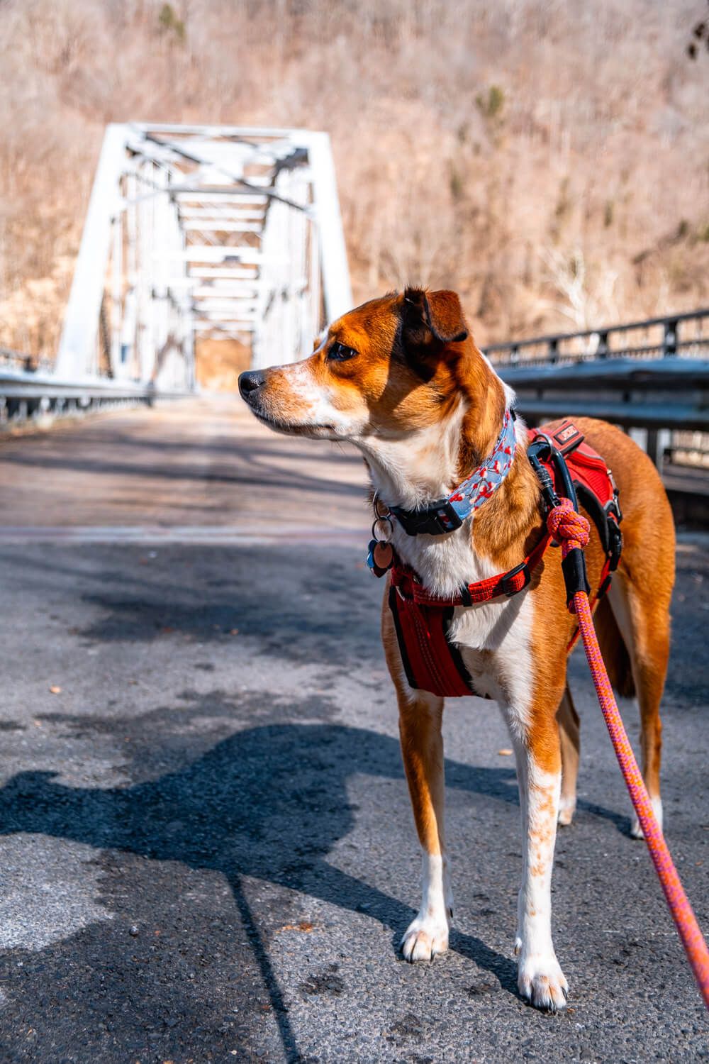 fayette station road - new river gorge national park