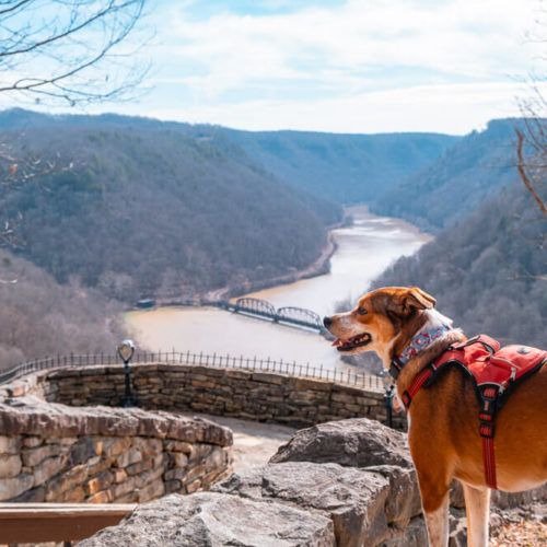 Cliffside Trail in Hawks Nest State Park [Trail Guide]