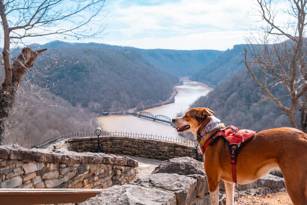 hawks nest state park