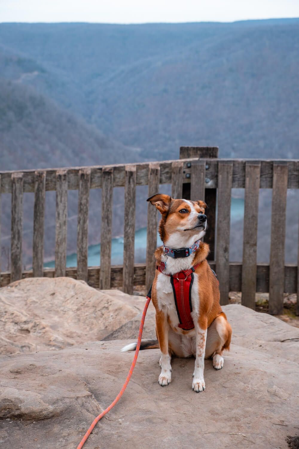 grandview overlook new river gorge national park