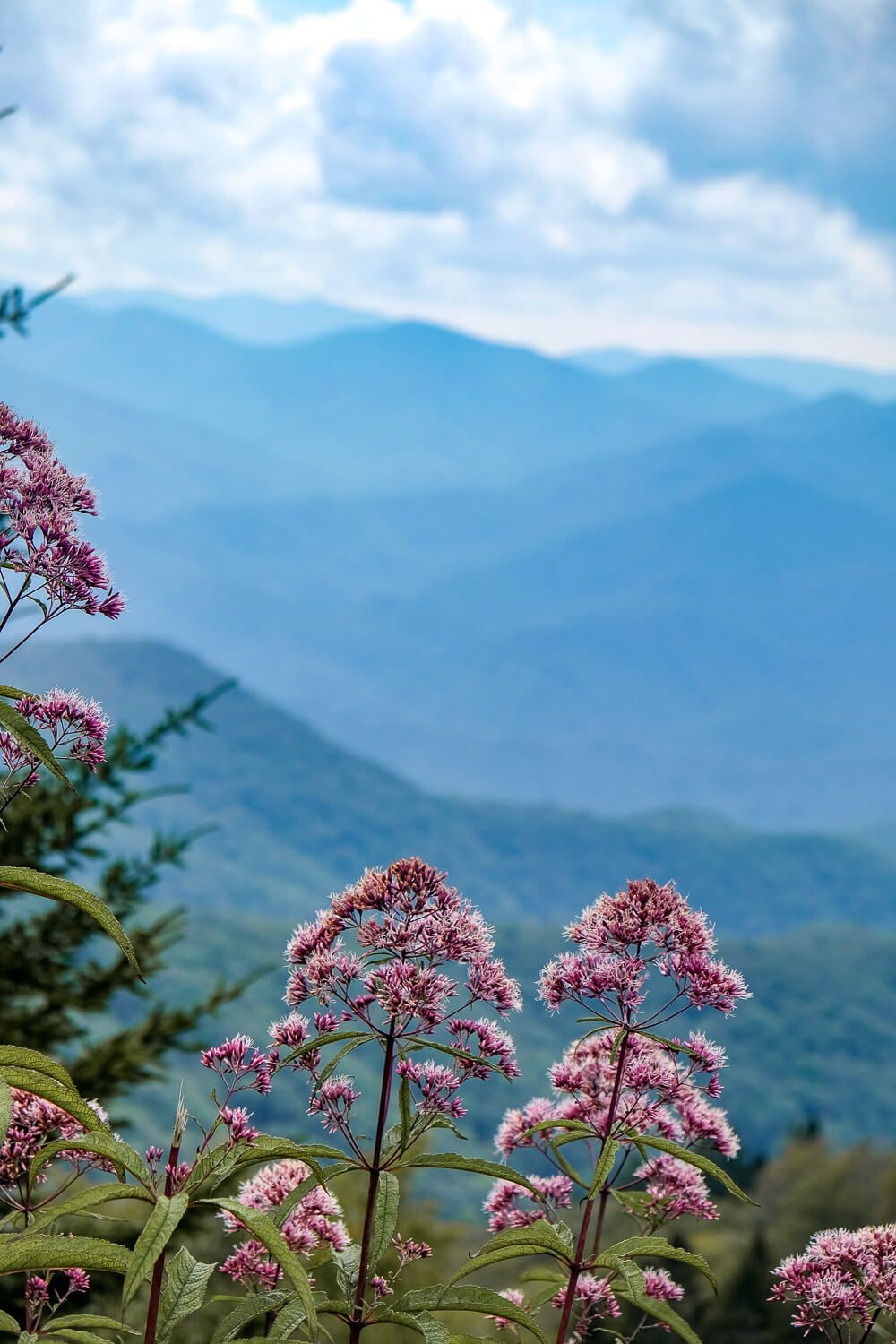 blue ridge parkway