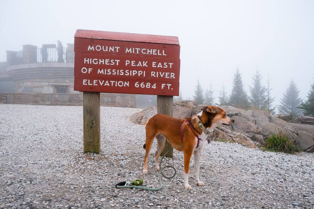 mount mitchell on blue ridge parkway