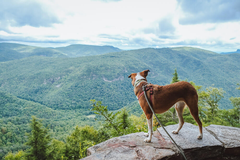 chestoa view on blue ridge parkway