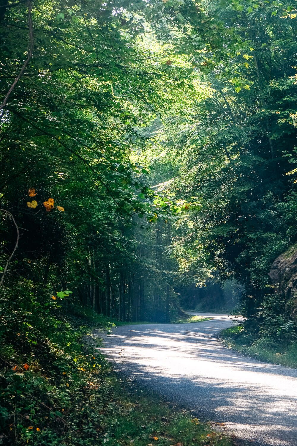 blue ridge parkway