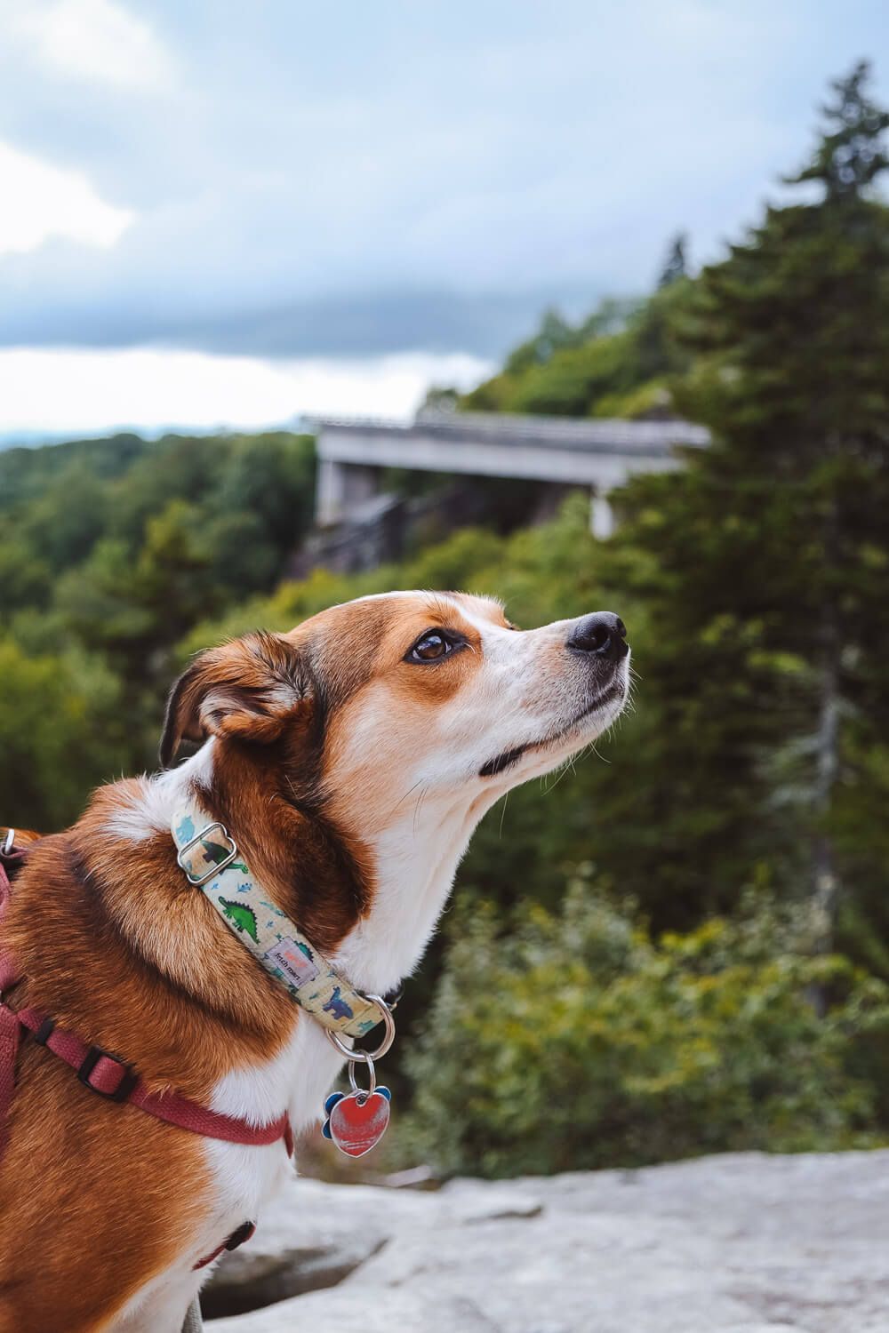 blue ridge parkway