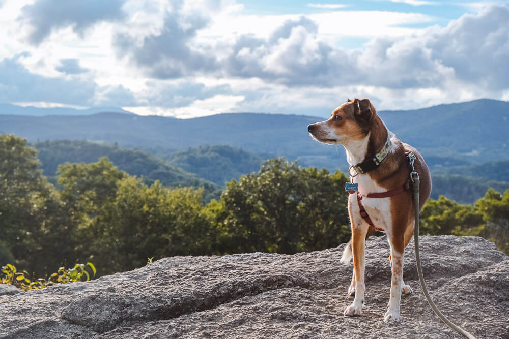 raven rocks overlook on blue ridge parkway