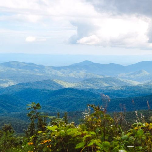 Blue Ridge Parkway Road Trip With Your Dog