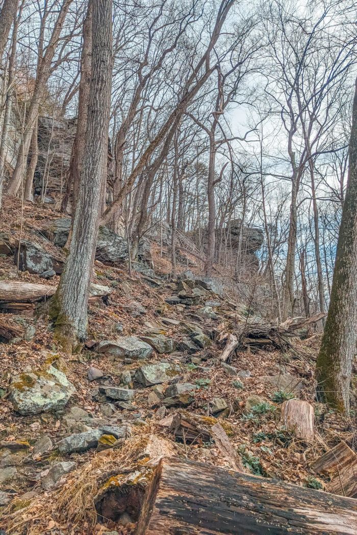 Cliffside Trail in Hawks Nest State Park [Trail Guide]