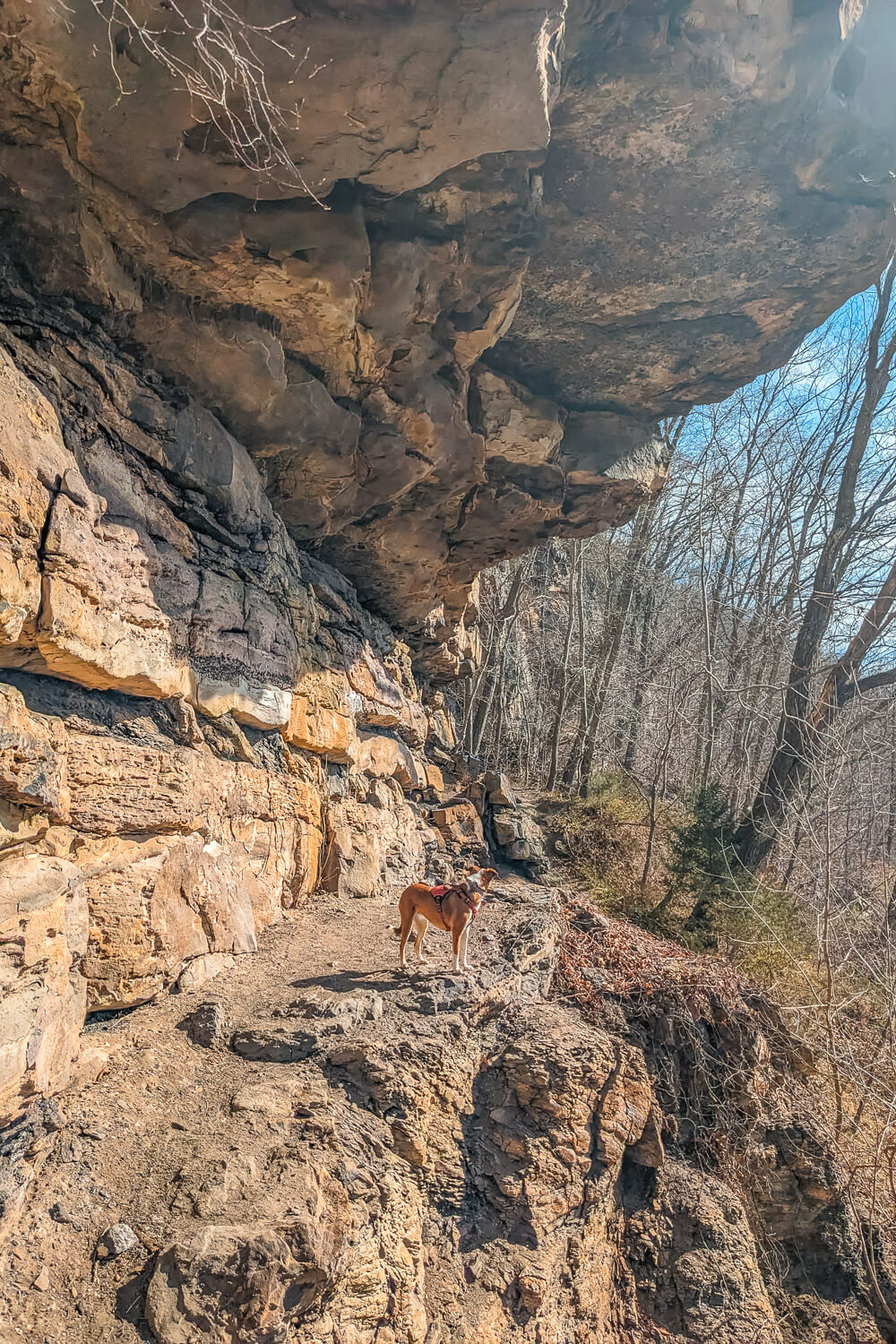 cliffside trail