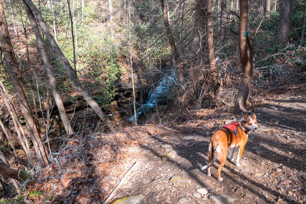 cliffside trail