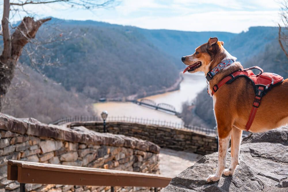 hawks nest overlook