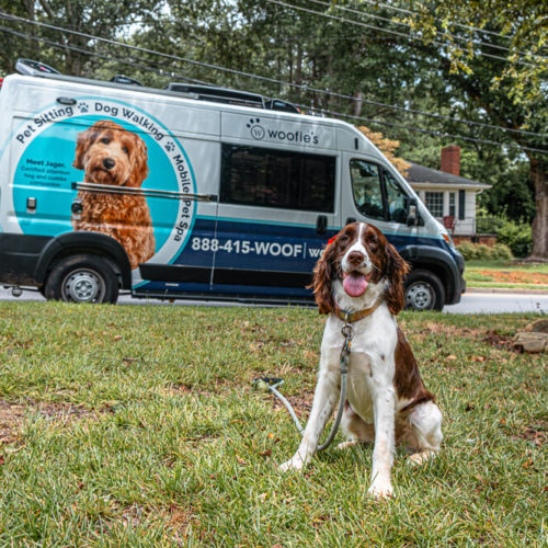 Woofie’s Mobile Pet Spa: Mobile Dog Grooming in Greenville SC [REVIEW]
