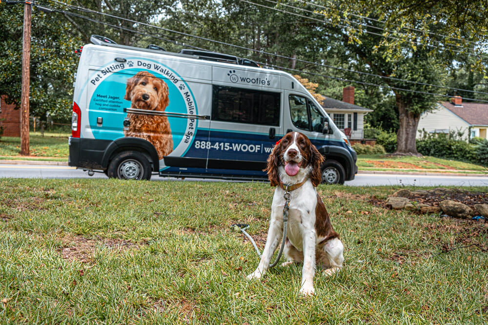 woofies mobile dog grooming greenville