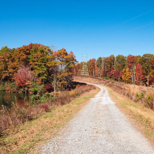 Where to See Fall Foliage Near Greenville, SC in 2023