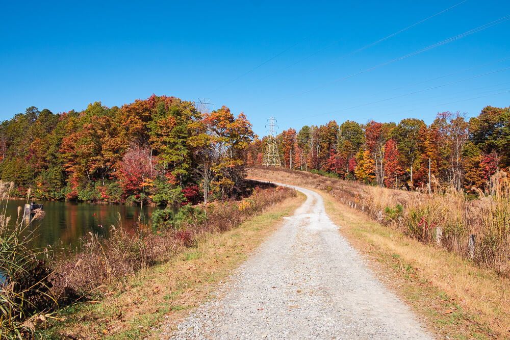 fall foliage near greenville sc