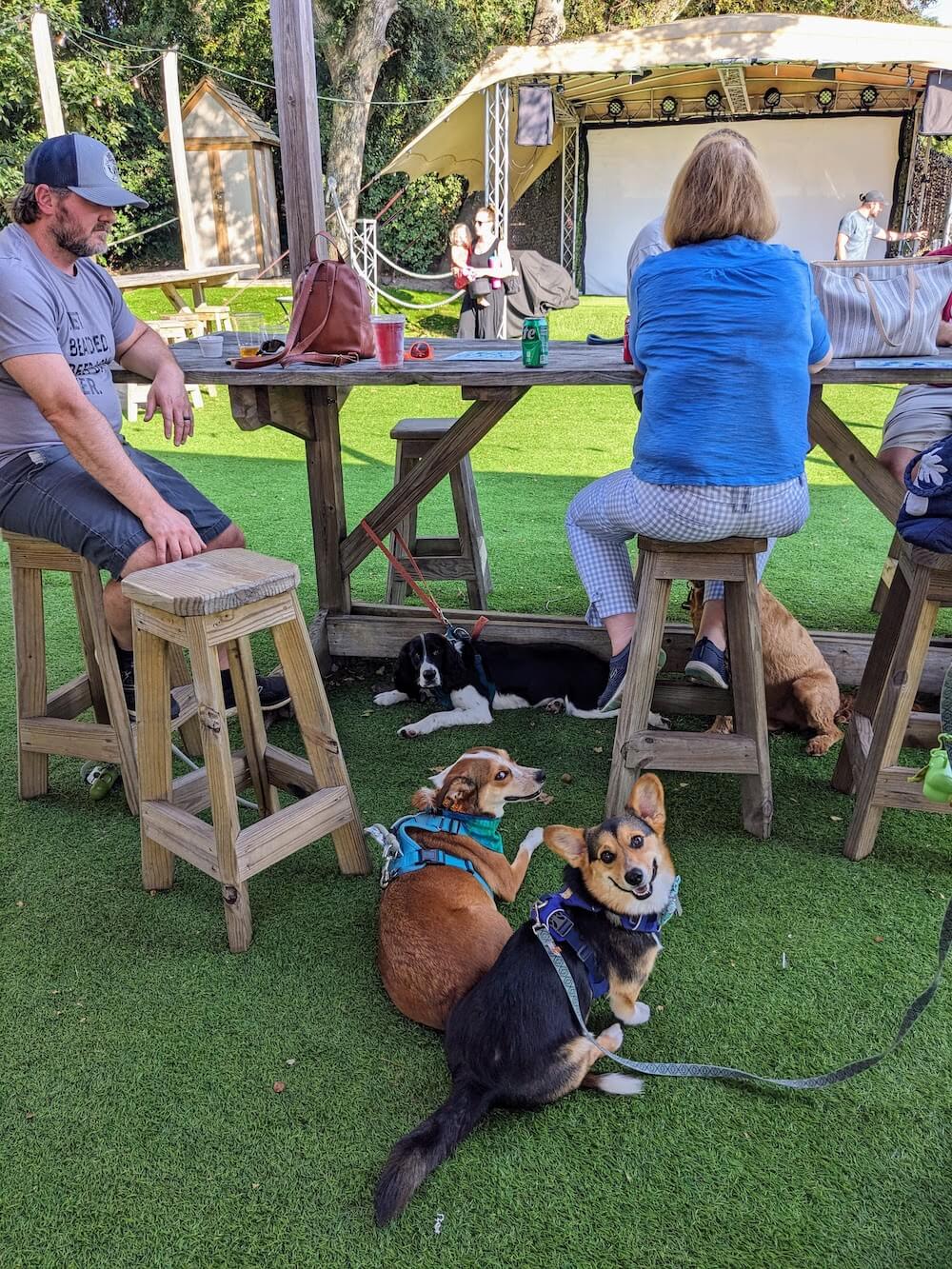 yappy hour at tap shack, duck, nc